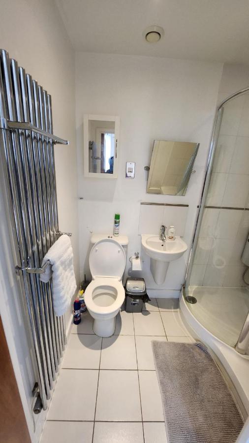 Luxury 2 Bed Apartment Excel London Kültér fotó